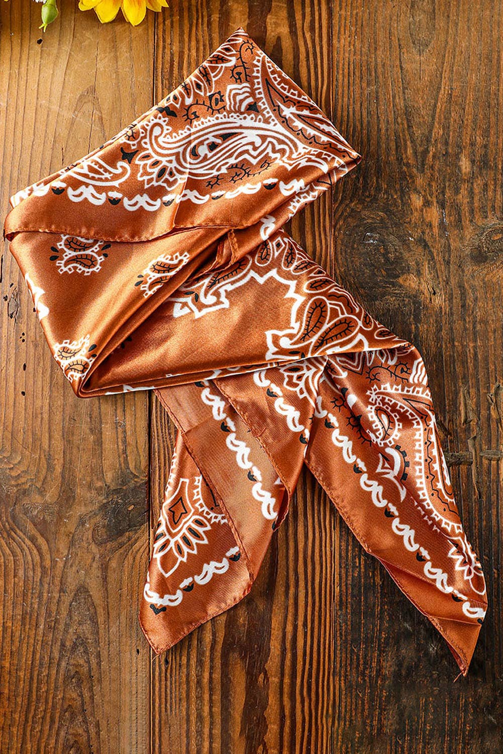 Satin Paisley Wild Rag