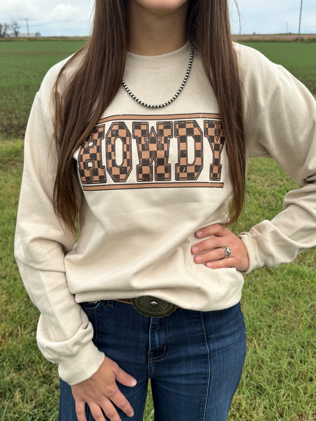 LV Checkered "HOWDY" Sweatshirt