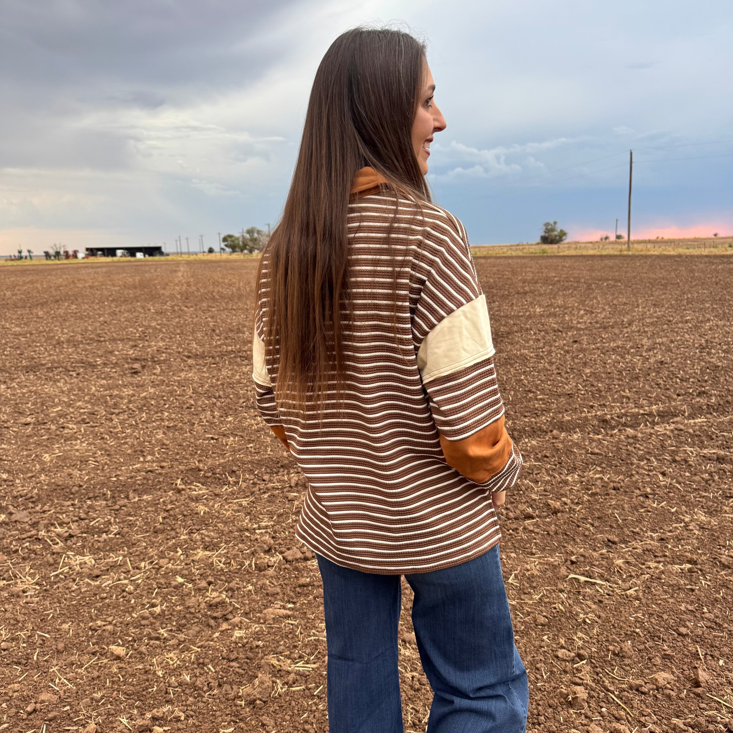 Brown Striped Pullover Top